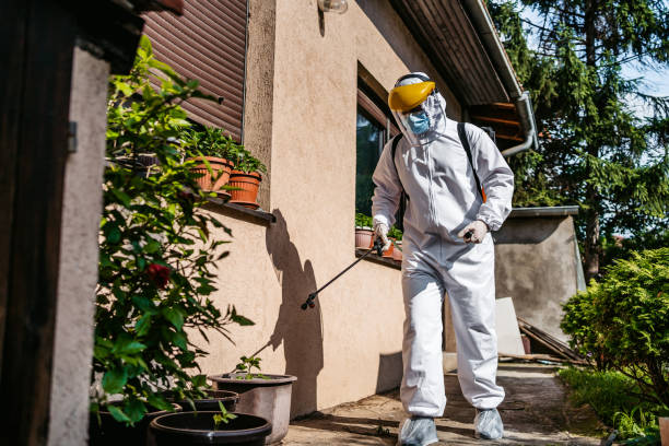 Best Mosquito Control Services  in Lake View, AL