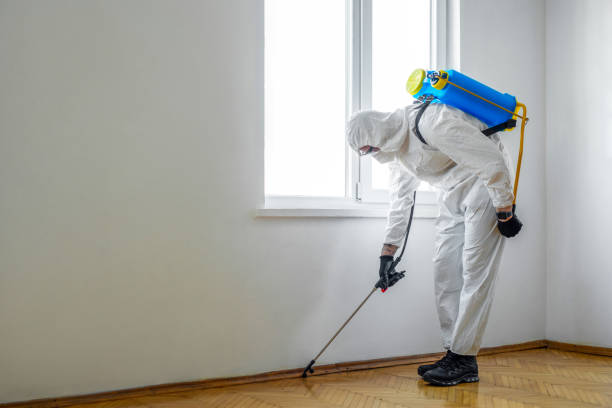 Best Pest Control Near Me in Lake View, AL