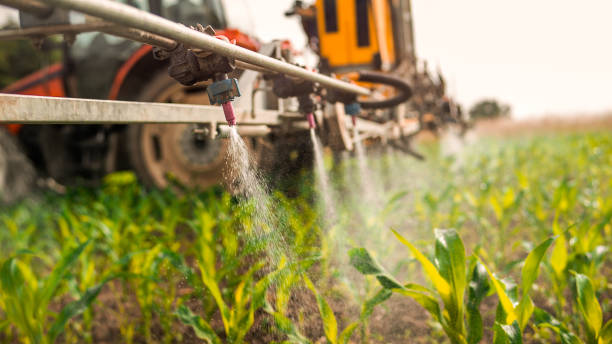 Best Ant Control Services  in Lake View, AL